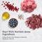 Show in main carousel: American Journey Pate Turkey & Salmon Recipe Grain-Free Canned Cat Food, 12.5-oz can, case of 12 slide 8 of 11