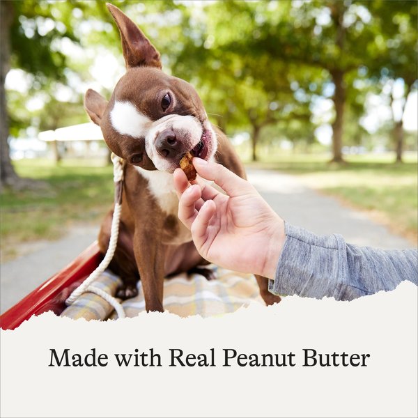 Show full view: American Journey Peanut Butter Recipe Grain-Free Oven Baked Crunchy Biscuit Dog Treats, 8-oz bag slide 5 of 10