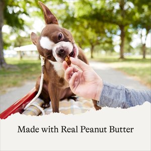 American Journey Peanut Butter Recipe Grain-Free Oven Baked Crunchy Biscuit Dog Treats, 8-oz bag