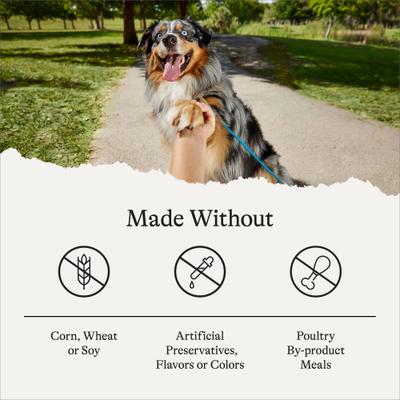 Show full view: American Journey Premium Loaf Poultry & Beef Variety Pack Canned Dog Food, 12.5-oz can, case of 12 slide 8 of 12