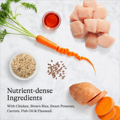 American Journey Protein & Grains Chicken, Brown Rice & Vegetables Recipe Dry Dog Food