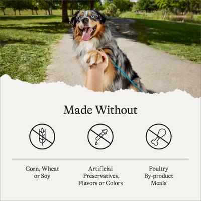 Show full view: American Journey Protein & Grains Formula Poultry & Beef Variety Pack Canned Dog Food, 12.5-oz can, bundle of 24  slide 6 of 10