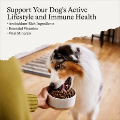 American Journey Protein & Grains Salmon, Brown Rice & Vegetables Recipe Dry Dog Food, 28-lb bag slide 2 of 9