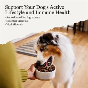 American Journey Protein & Grains Salmon, Brown Rice & Vegetables Recipe Dry Dog Food, 28-lb bag