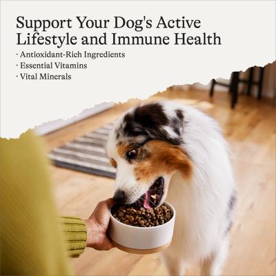 Show full view: American Journey Protein & Grains Salmon, Brown Rice & Vegetables Recipe Dry Dog Food, 28-lb bag slide 4 of 12