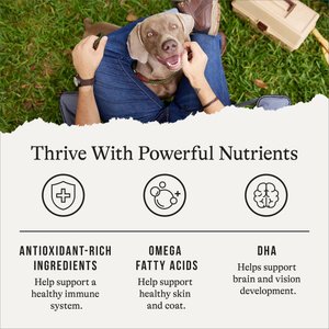 American Journey Protein & Grains Salmon, Brown Rice & Vegetables Recipe Dry Dog Food, 28-lb bag