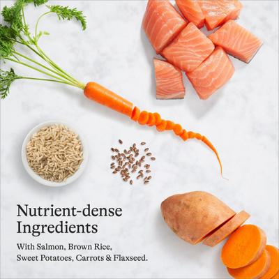 Show full view: American Journey Protein & Grains Salmon, Brown Rice & Vegetables Recipe Dry Dog Food, 28-lb bag slide 7 of 12