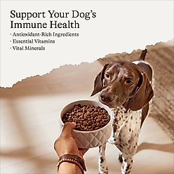 American Journey Protein & Grains Healthy Weight Chicken, Brown Rice & Vegetables Recipe Dry Dog Food, 28-lb bag slide 2 of 9