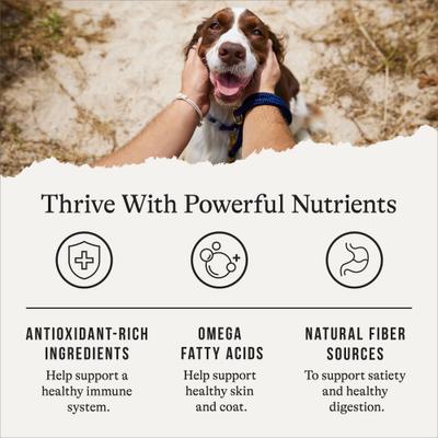 Show full view: American Journey Protein & Grains Healthy Weight Chicken, Brown Rice & Vegetables Recipe Dry Dog Food, 28-lb bag slide 6 of 12