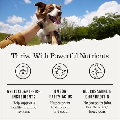 Show full view: American Journey Protein & Grains Large Breed Chicken, Brown Rice & Vegetables Recipe Dry Dog Food, 28-lb bag slide 6 of 12