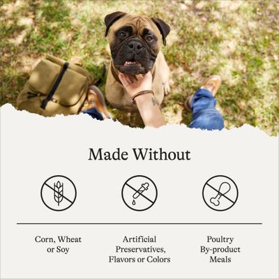 Show full view: American Journey Protein & Grains Large Breed Chicken, Brown Rice & Vegetables Recipe Dry Dog Food, 28-lb bag slide 8 of 12