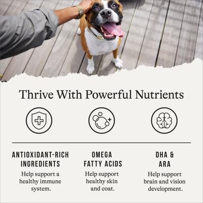 Show full view: American Journey Protein & Grains Large Breed Puppy Chicken, Brown Rice & Vegetables Recipe Dry Dog Food, 28-lb bag slide 6 of 12