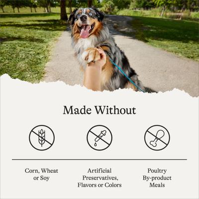 Show full view: American Journey Protein & Grains Large Breed Puppy Chicken, Brown Rice & Vegetables Recipe Dry Dog Food, 28-lb bag slide 8 of 12