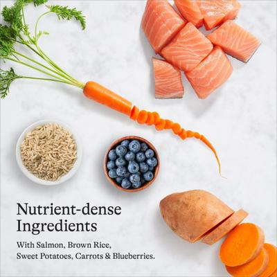 Show full view: American Journey Protein & Grains Large Breed Puppy Salmon, Brown Rice & Vegetables Recipe Dry Dog Food, 28-lb bag slide 7 of 12