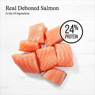 American Journey Protein & Grains Large Breed Salmon, Brown Rice & Vegetables Recipe Dry Dog Food, 28-lb bag slide 4 of 9