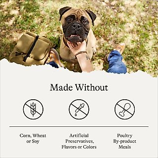American Journey Protein & Grains Large Breed Salmon, Brown Rice & Vegetables Recipe Dry Dog Food, 28-lb bag slide 7 of 9