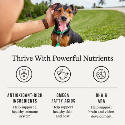 Show full view: American Journey Protein & Grains Puppy Chicken, Brown Rice & Vegetables Recipe Dog Food, 28-lb bag slide 6 of 12