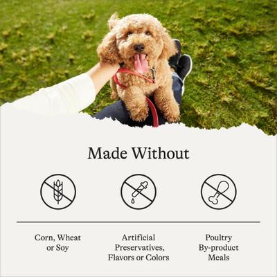 Show full view: American Journey Protein & Grains Puppy Chicken, Brown Rice & Vegetables Recipe Dog Food, 28-lb bag slide 8 of 12