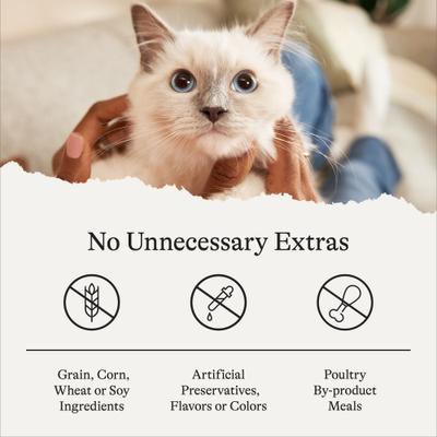 Show full view: American Journey Salmon Recipe Grain-Free Dry Cat Food, 12-lb bag + American Journey 100% Chicken Freeze-Dried Grain-Free Cat Treats, 5-oz bag slide 8 of 9