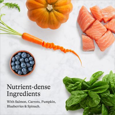 Show full view: American Journey Salmon Recipe Grain-Free Dry Cat Food, 5-lb bag slide 7 of 11