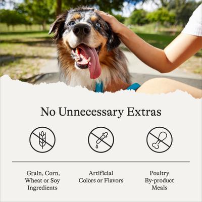 Show full view: American Journey Salmon Recipe Grain-Free Soft & Chewy Training Bits Dog Treats, 4-oz bag slide 8 of 10