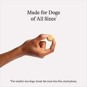 American Journey Sausage, Egg & Cheese Flavor Grain-Free Oven Baked Crunchy Biscuit Dog Treats, 8-oz bag