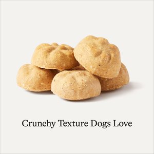 American Journey Sausage, Egg & Cheese Flavor Grain-Free Oven Baked Crunchy Biscuit Dog Treats, 8-oz bag