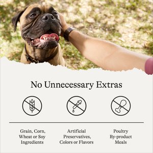 American Journey Sausage, Egg & Cheese Flavor Grain-Free Oven Baked Crunchy Biscuit Dog Treats, 8-oz bag