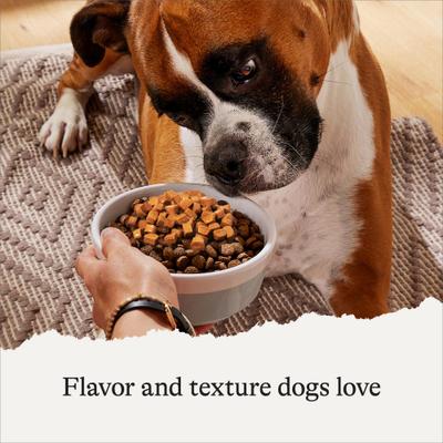 Show full view: American Journey Savory Toppers Chicken Recipe in Gravy Grain-Free Dog Food Topper, 3-oz pouches, case of 24 slide 5 of 12