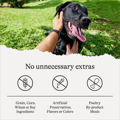 Show full view: American Journey Savory Toppers Salmon Recipe in Gravy Grain-Free Dog Food Topper, 3-oz pouches, case of 24 slide 8 of 11