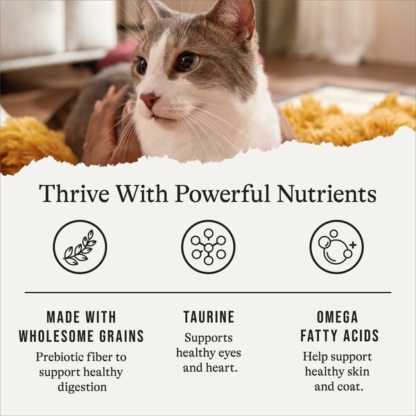 American Journey Sensitive Stomach Total Health Formula Salmon & Brown Rice Recipe Dry Cat Food