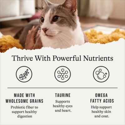 Show full view: American Journey Sensitive Stomach Total Health Formula Chicken & Brown Rice Recipe Dry Cat Food, 15-lb bag slide 6 of 11