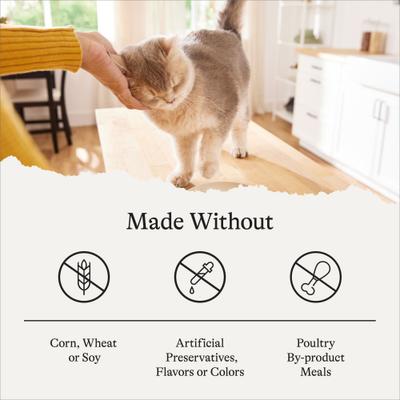 Show full view: American Journey Sensitive Stomach Total Health Formula Chicken & Brown Rice Recipe Dry Cat Food, 15-lb bag slide 8 of 11