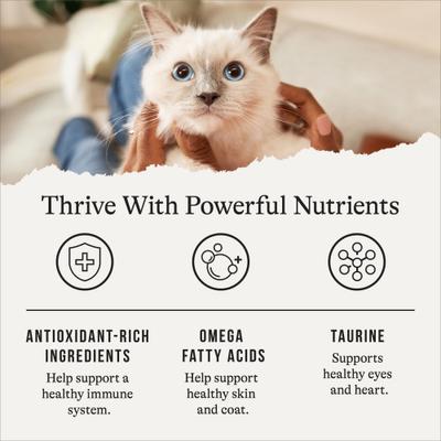 Show full view: American Journey Turkey & Chicken Recipe Grain-Free Dry Cat Food, 10-lb bundle  slide 8 of 11