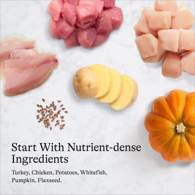 Show full view: American Journey Premium Loaf Turkey Recipe Grain-Free Canned Dog Food, 12.5-oz can, case of 12 slide 7 of 10