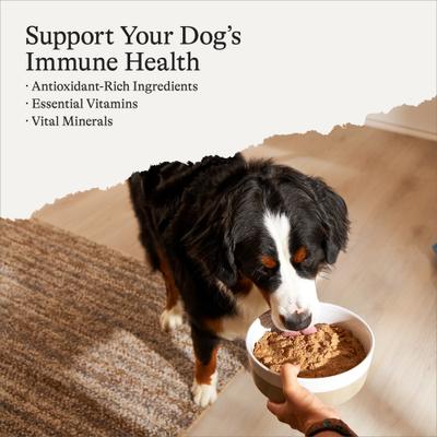 Show full view: American Journey Premium Loaf Turkey Recipe Grain-Free Canned Dog Food, 12.5-oz can, case of 12 slide 3 of 10