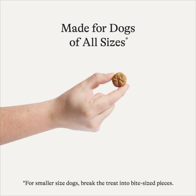 Show full view: American Journey Turkey Recipe Grain-Free Oven Baked Crunchy Biscuit Dog Treats, 16-oz bag slide 4 of 10