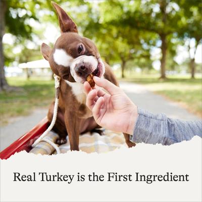 Show full view: American Journey Turkey Recipe Grain-Free Oven Baked Crunchy Biscuit Dog Treats, 16-oz bag slide 5 of 10