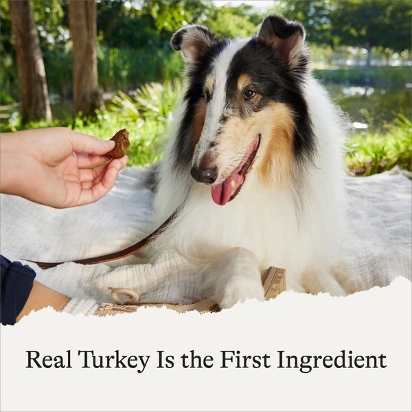 American Journey Turkey & Sweet Potato Recipe Limited Ingredient Dog Treats