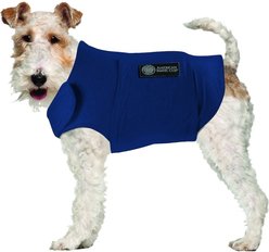 American Kennel Club AKC Anxiety Vest for Dogs, Blue, Medium