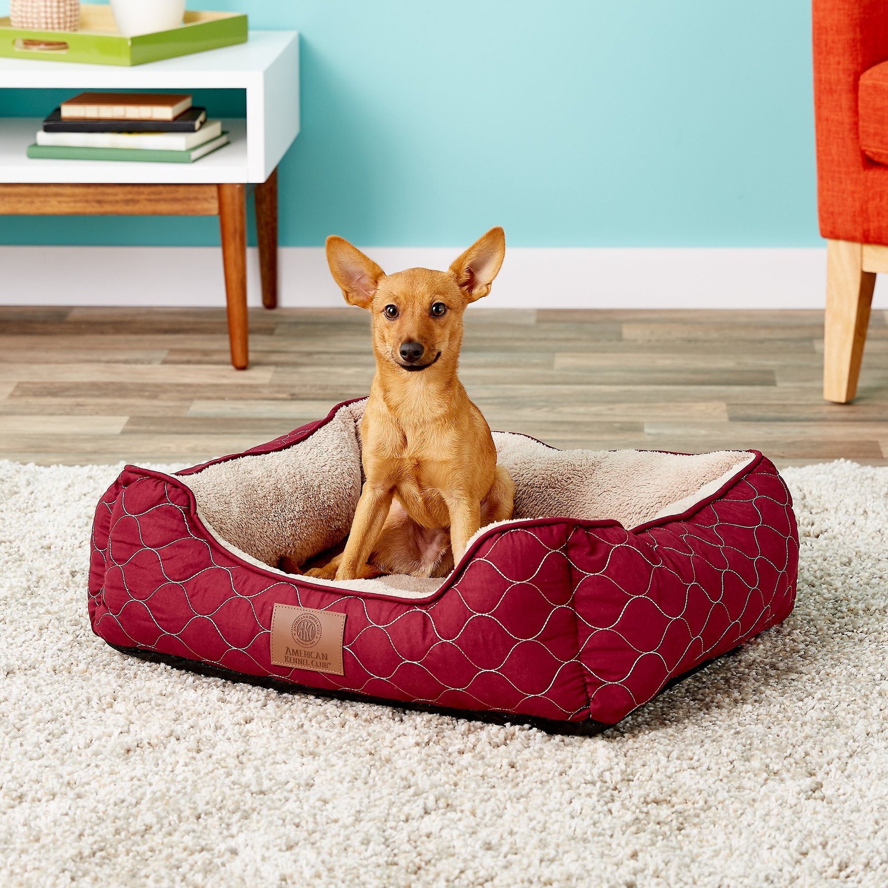 Cuddle Bed Akc Orthopedic Dog Bed AMERICAN KENNEL CLUB AKC Circle