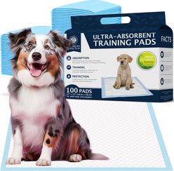 American Kennel Club Dog Training Pads, 22 x 22-in, 100 count, Fresh Cut Grass Scented