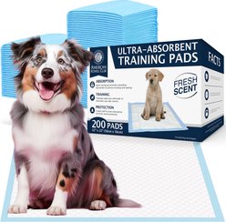 American Kennel Club Dog Training Pads, 22 x 22-in, 200 count, Fresh Scented