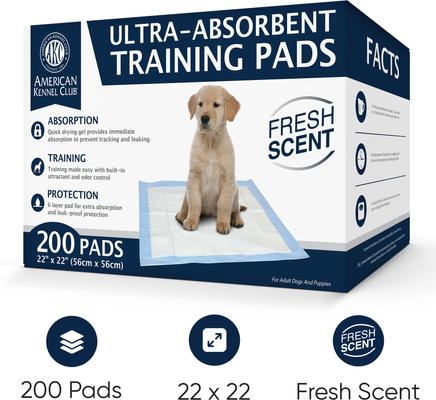Show full view: American Kennel Club Dog Training Pads, 22 x 22-in, 200 count, Fresh Scented slide 2 of 10