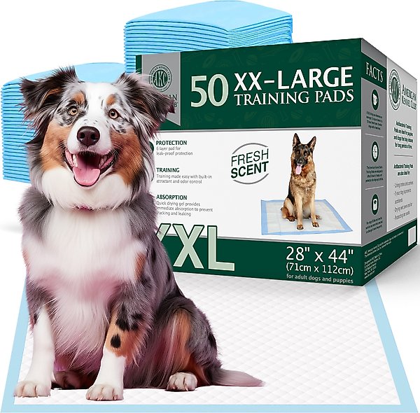 American Kennel Good Dog Obedience Cheap Akc Dog Trainer Outlet