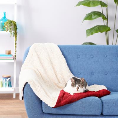 Show full view: American Kennel Club AKC Micro Sherpa Dog & Cat Blanket, Red slide 5 of 10