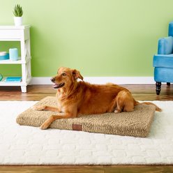 American Kennel Club AKC Orthopedic Dog Crate Mat, Tan, 42-in