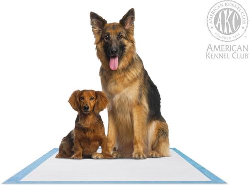 Show full view: American Kennel Club Extra Large Dog Training Pads, 28 x 30-in, 50 count, Fresh Cut Grass Scented slide 4 of 6