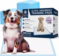 American Kennel Club Dog Training Pads, 22 x 22-in, 200 count, Lavender Scented