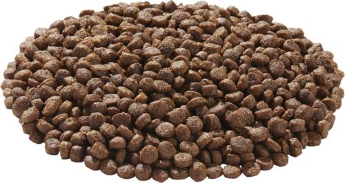 Show full view: American Natural Premium Grain-Free Duck Meal & Pork Meal Recipe Dry Dog Food, 12-lb bag slide 4 of 6